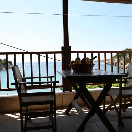 Aristotelis * פטיטיריון